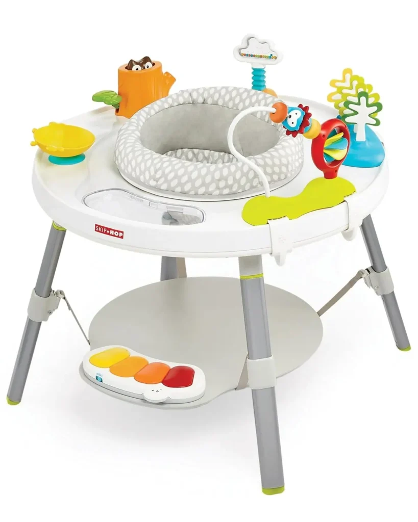 Skip Hop Baby Play Gym
