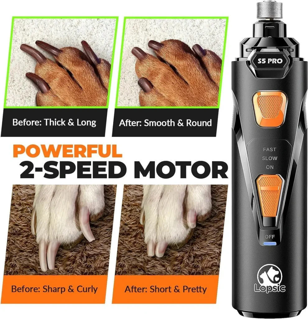 Child and pet bonding