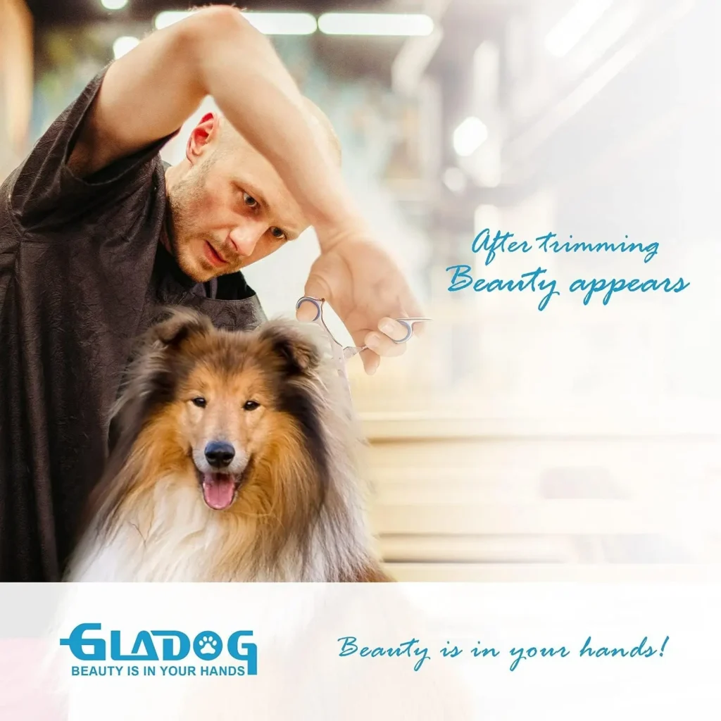 top rated pet accessories