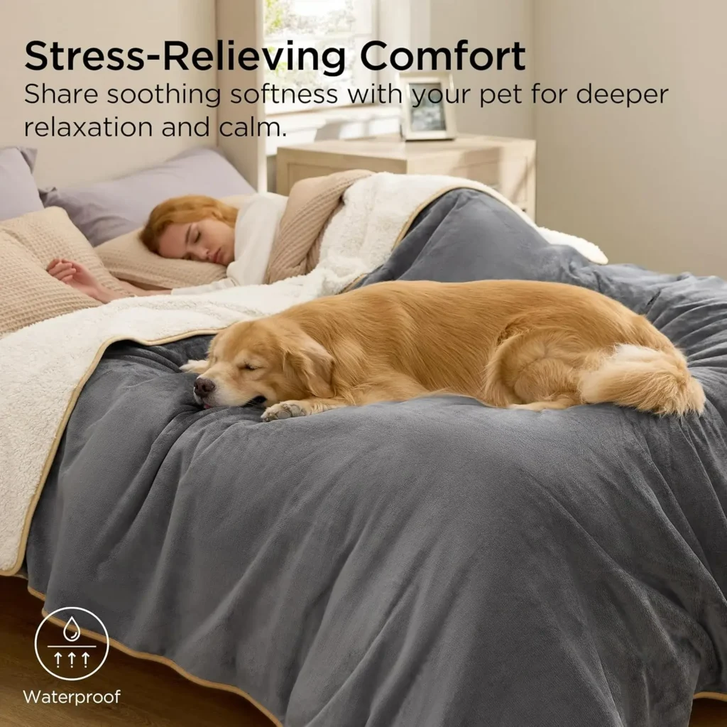 top rated pet accessories