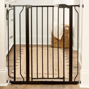 doorway gate