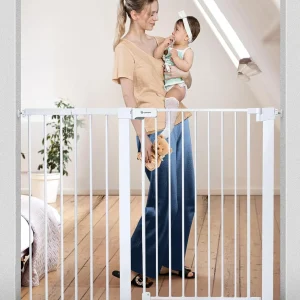 Similar comomy gate